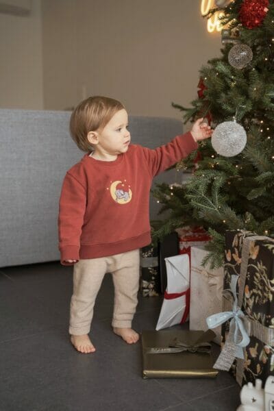 BABY Sweater 'Moon Elephant'
